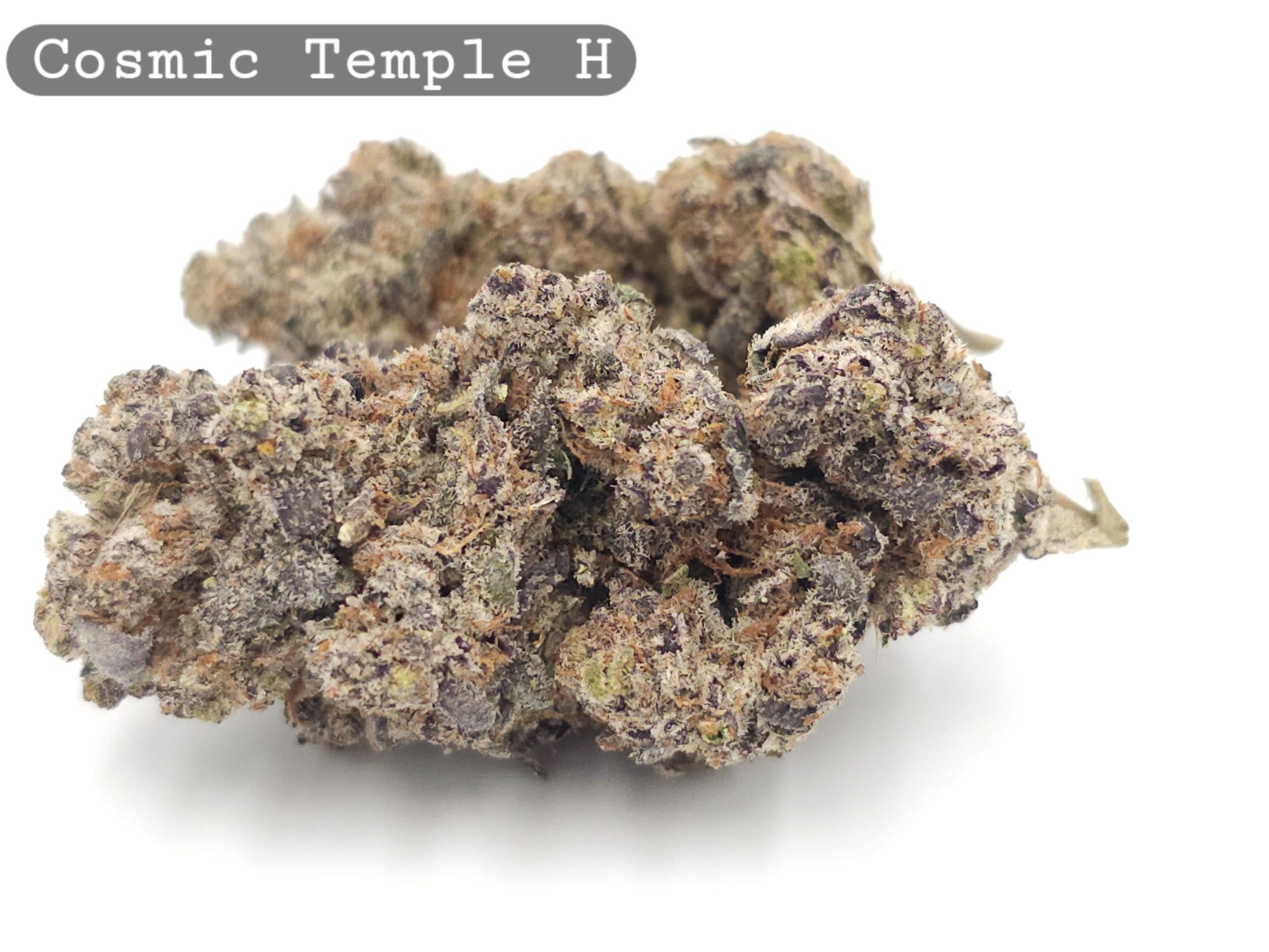 Indoor Cosmic Temple_Cannabis Bud_Hydro Cannabis_The dope warehouse