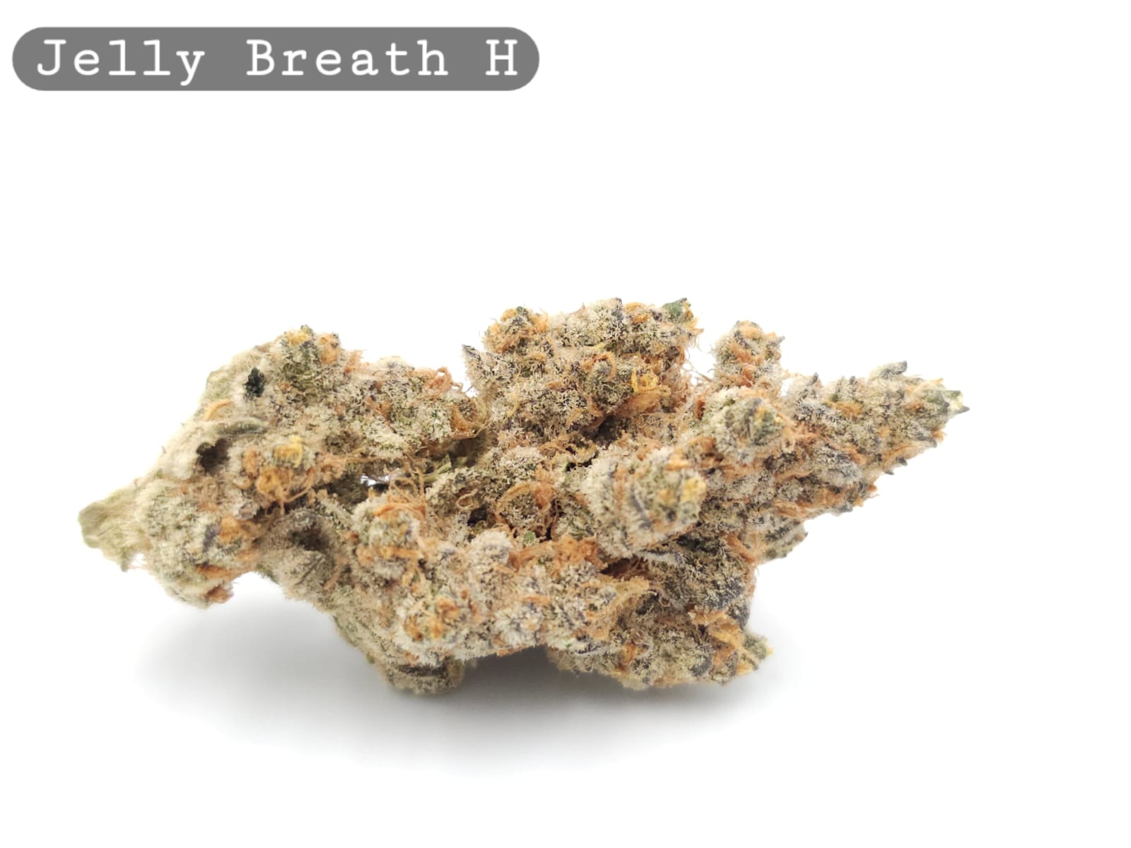 Indoor Jelly Breath_Cannabis Bud_The dope warehouse