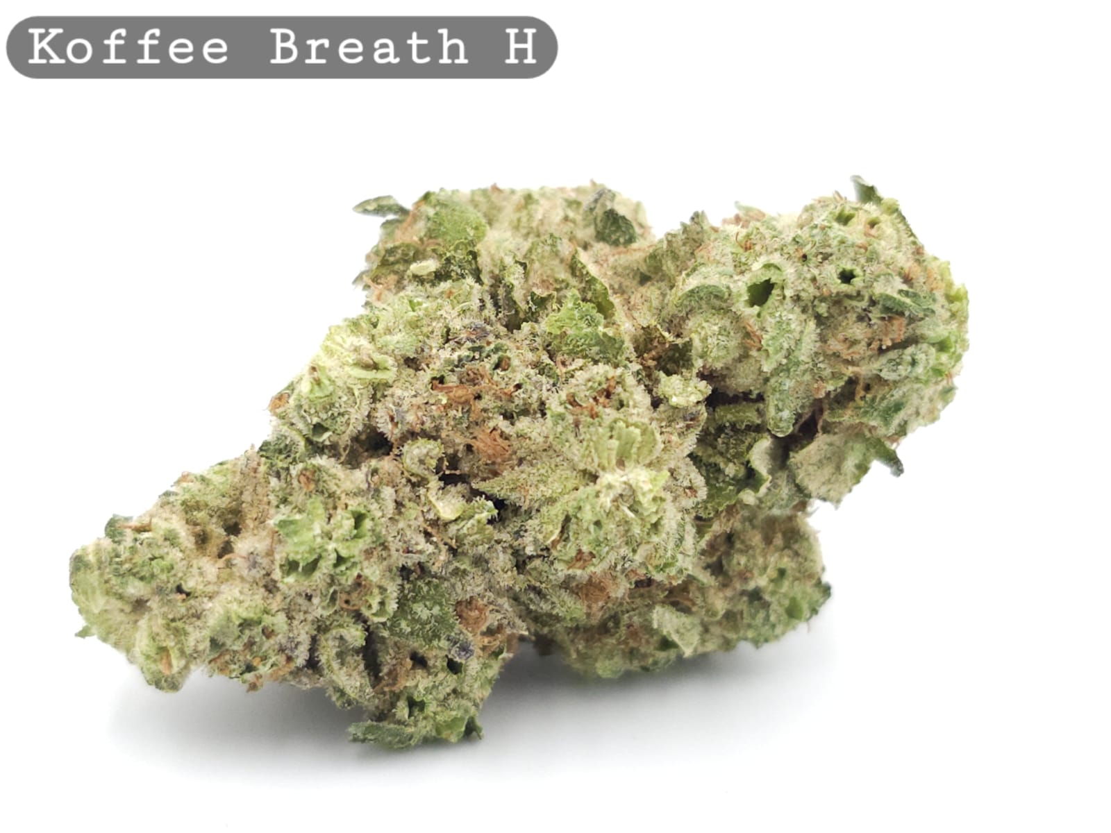 Indoor Koffee Breath_Cannabis Bud_The dope warehouse
