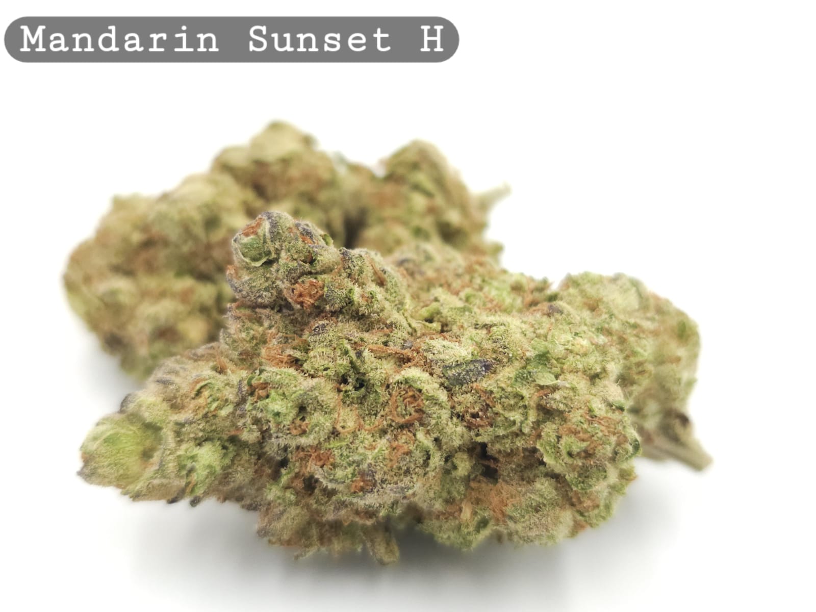 Mandarin Sunset_Cannabis Bud_Hydro Cannabis_The dope warehouse